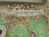 image of grave number 683902